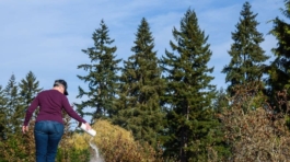 Proactive-Roof-Maintenance-Solutions-Safeguarding-Your-Investment